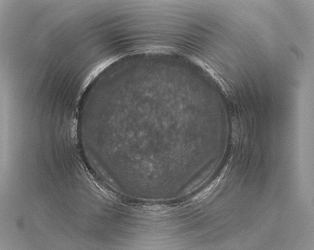 X0000115511066200911201634