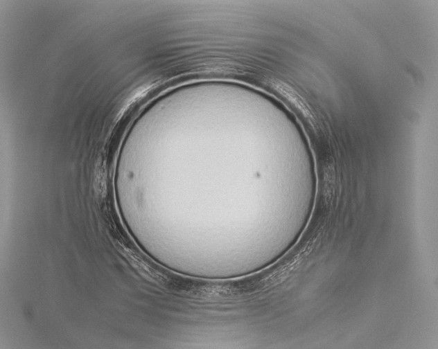 X0000115511067200911201634