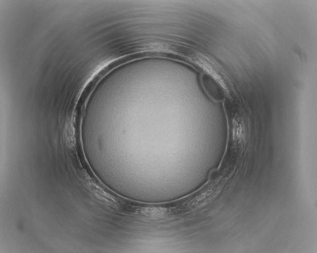 X0000115511068200911201634