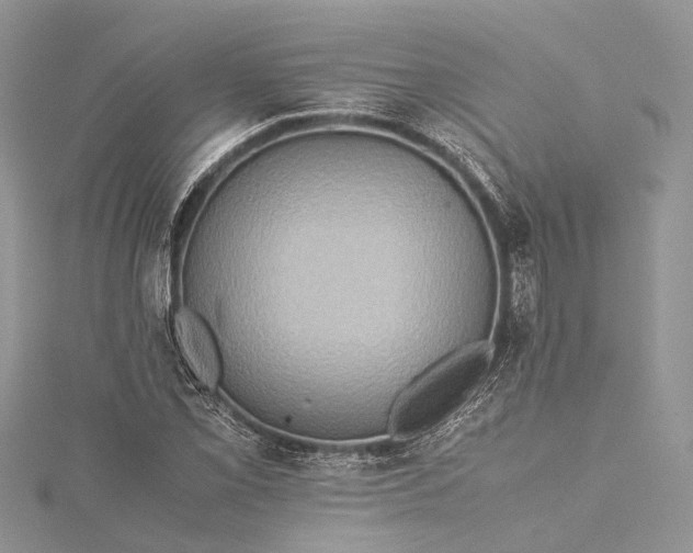 X0000115511069200911201634