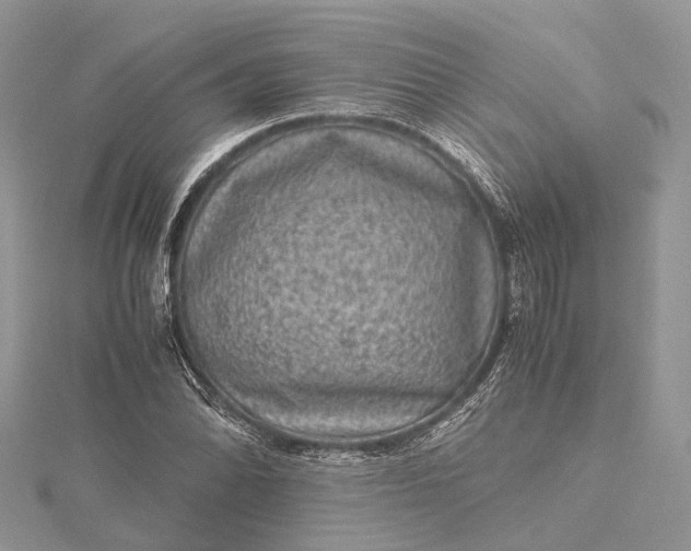 X0000115511070200911201634