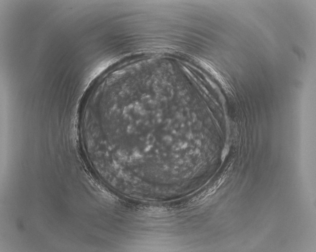 X0000115511071200911201634