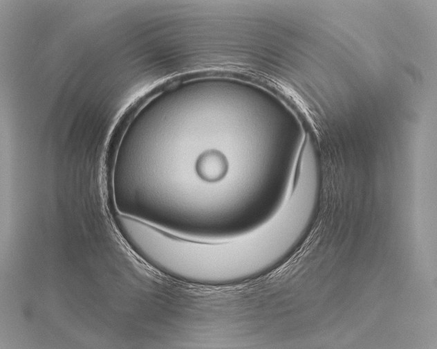 X0000115511072200911201634