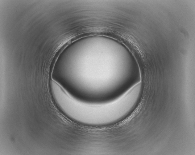 X0000115511073200911201634