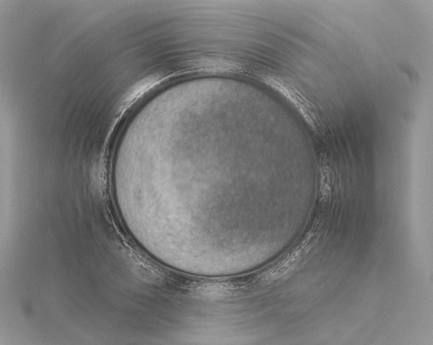 X0000115511074200911201634