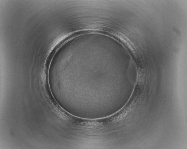 X0000115511077200911201634