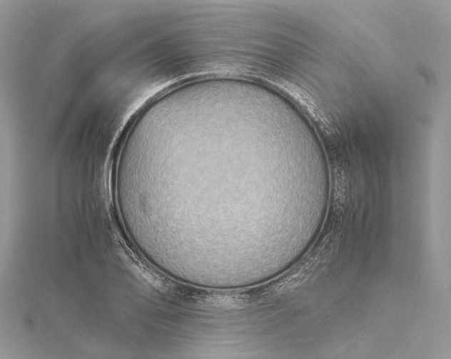 X0000115511078200911201634