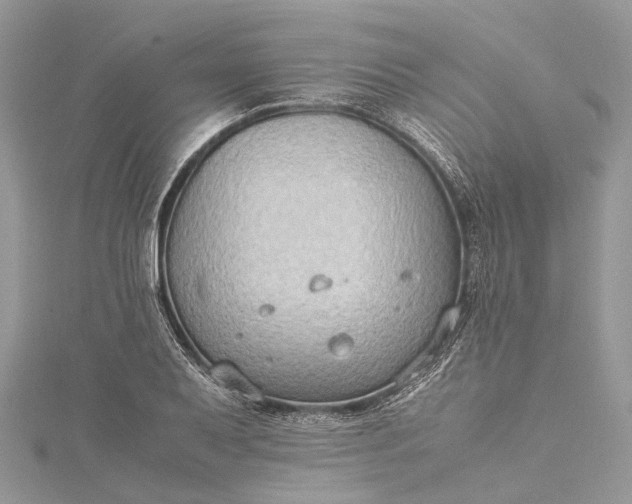 X0000115511079200911201634