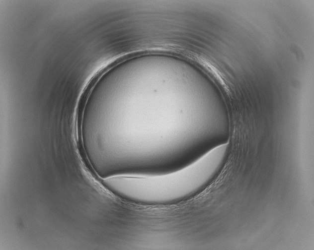 X0000115511080200911201634