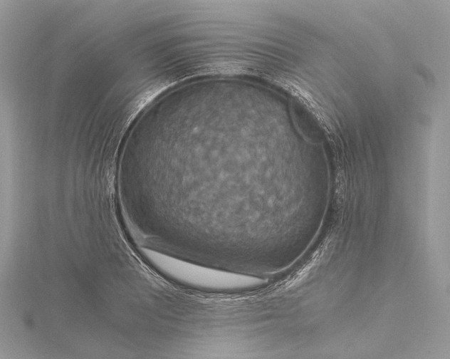 X0000115511081200911201634