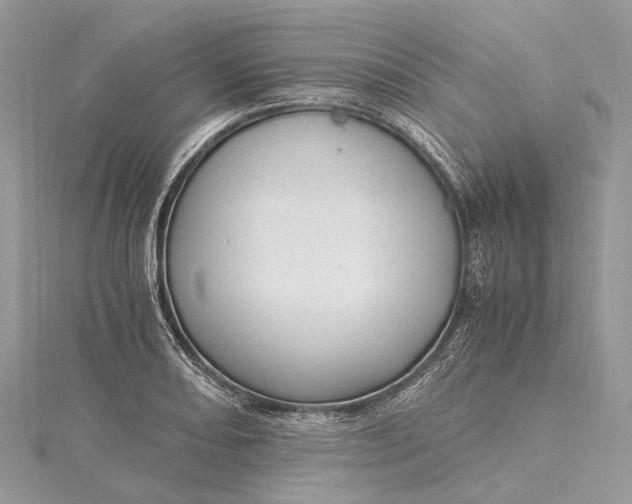 X0000115511082200911201634