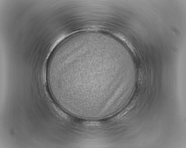 X0000115511083200911201634