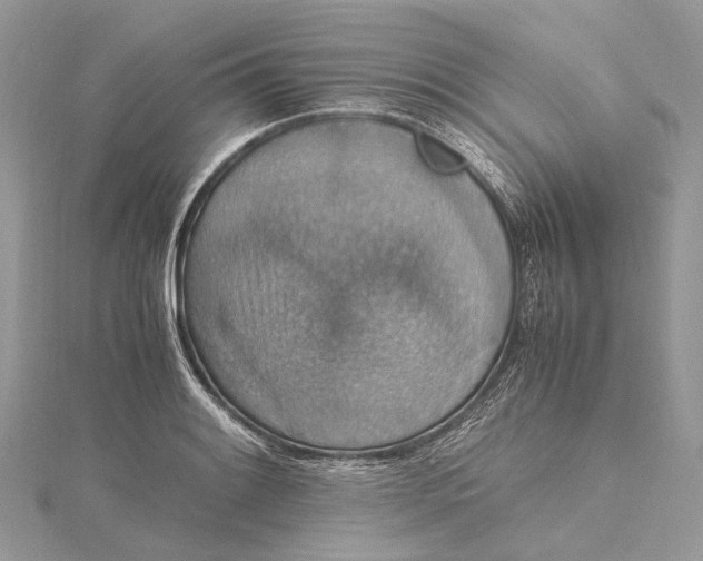 X0000115511084200911201634