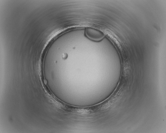 X0000115511085200911201634