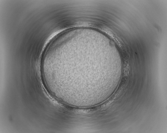 X0000115511086200911201634