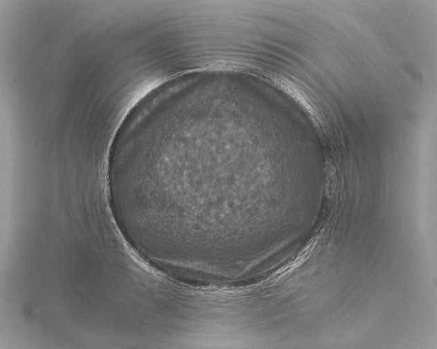 X0000115511087200911201634