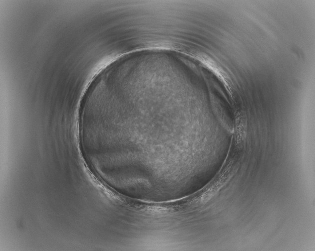 X0000115511088200911201634