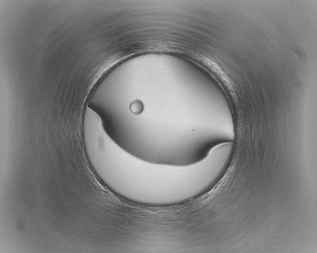 X0000115511089200911201634