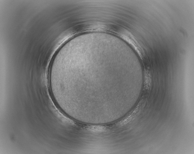 X0000115511090200911201634