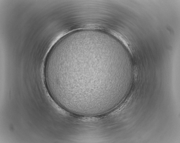 X0000115511091200911201634