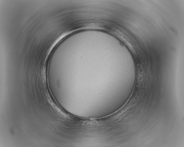 X0000115511092200911201634