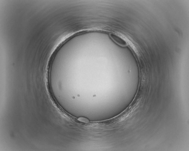 X0000115511093200911201634