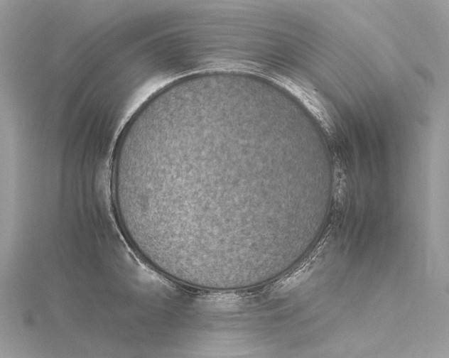 X0000115511094200911201634