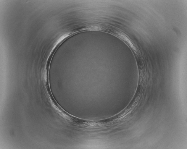 X0000115511095200911201634