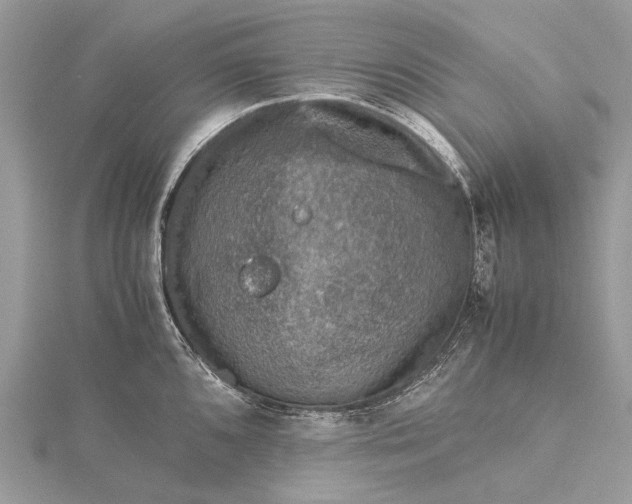 X0000115511096200911201634