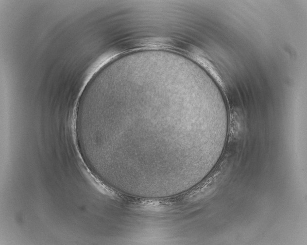 X0000115511098200911201634