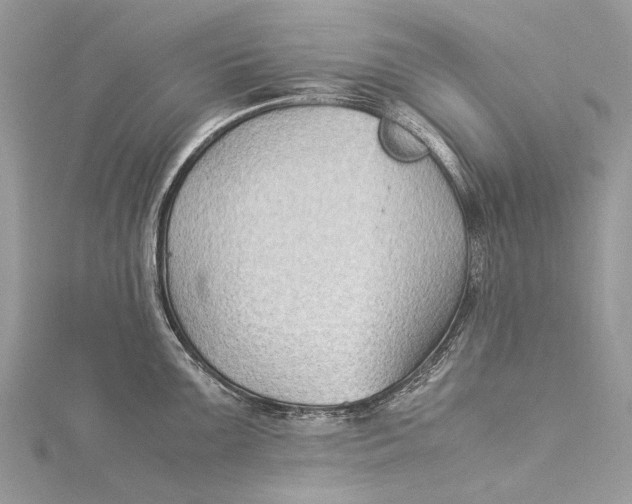 X0000115511099200911201634