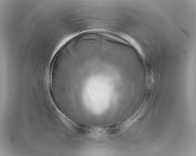 X0000115511101200911201634