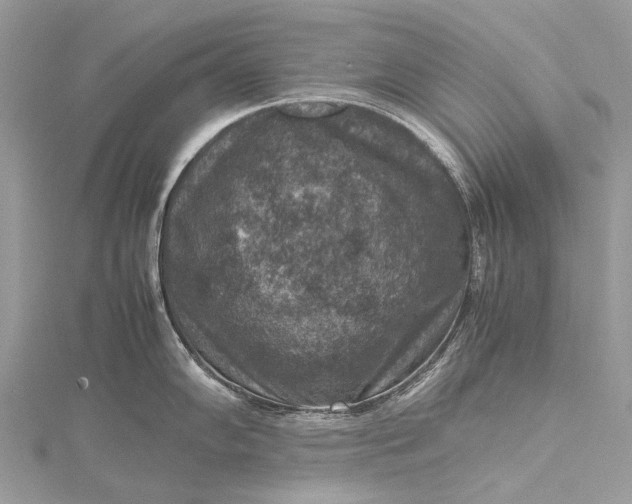 X0000115511102200911201634