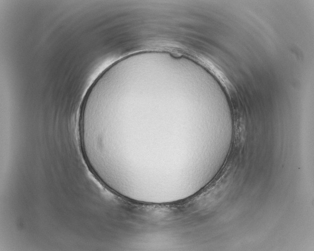 X0000115511103200911201634