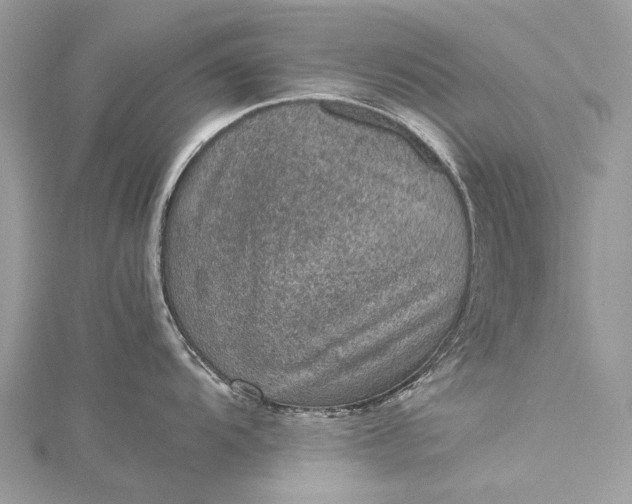 X0000115511104200911201634