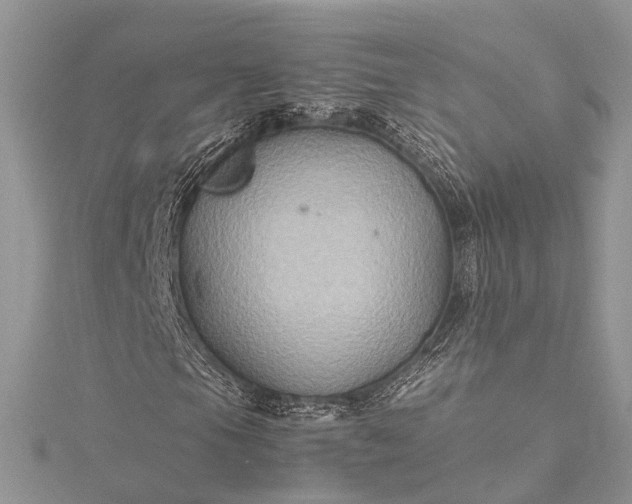 X0000115511105200911201633