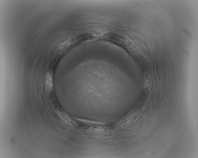 X0000115511106200911201633