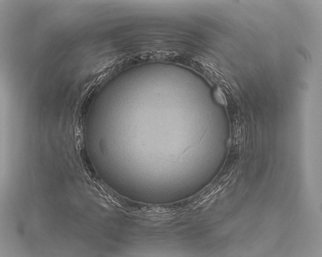 X0000115511109200911201633