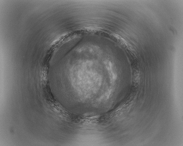 X0000115511110200911201633