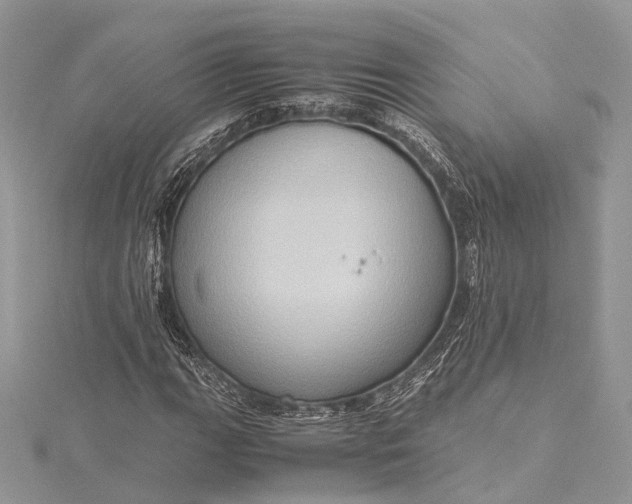 X0000115511111200911201633