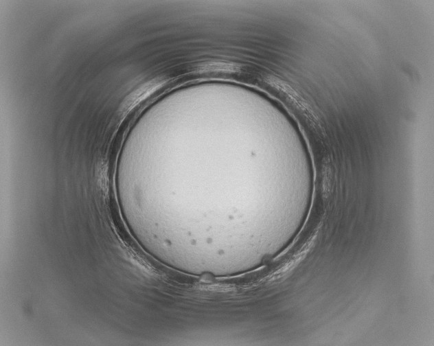 X0000115511113200911201633