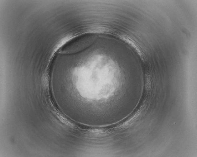 X0000115511114200911201633