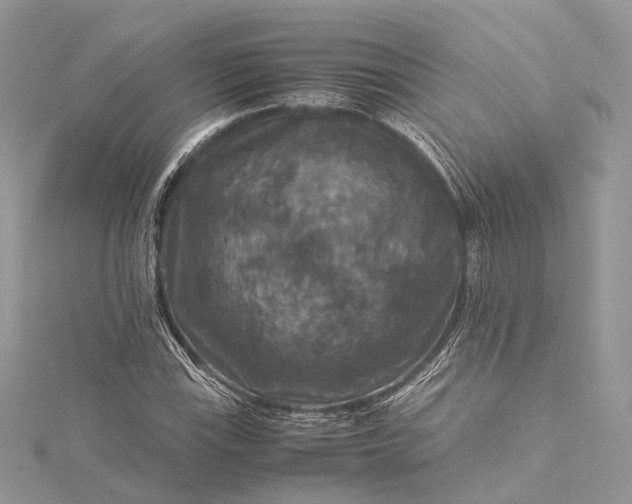 X0000115511115200911201633