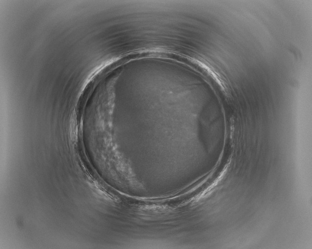 X0000115511117200911201633