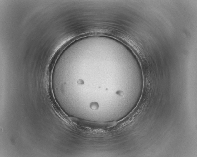 X0000115511119200911201633