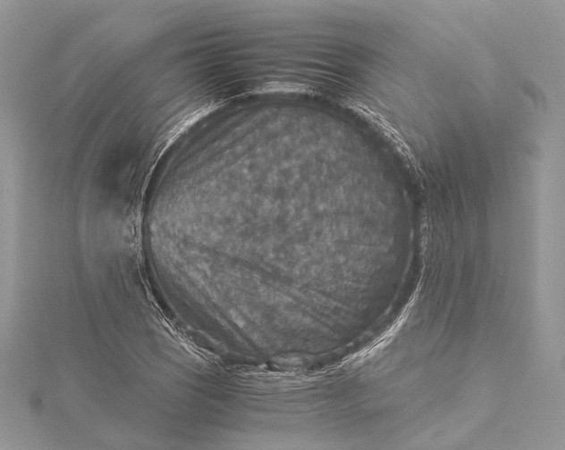 X0000115511121200911201633