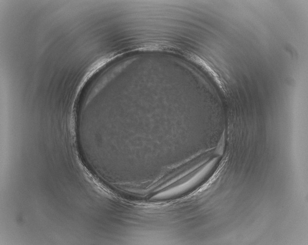 X0000115511122200911201633