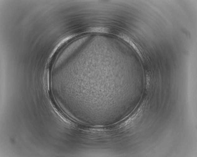 X0000115511123200911201633