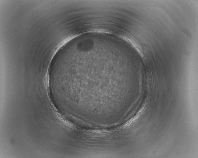 X0000115511125200911201633