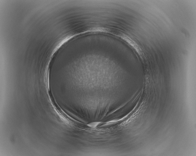 X0000115511127200911201633